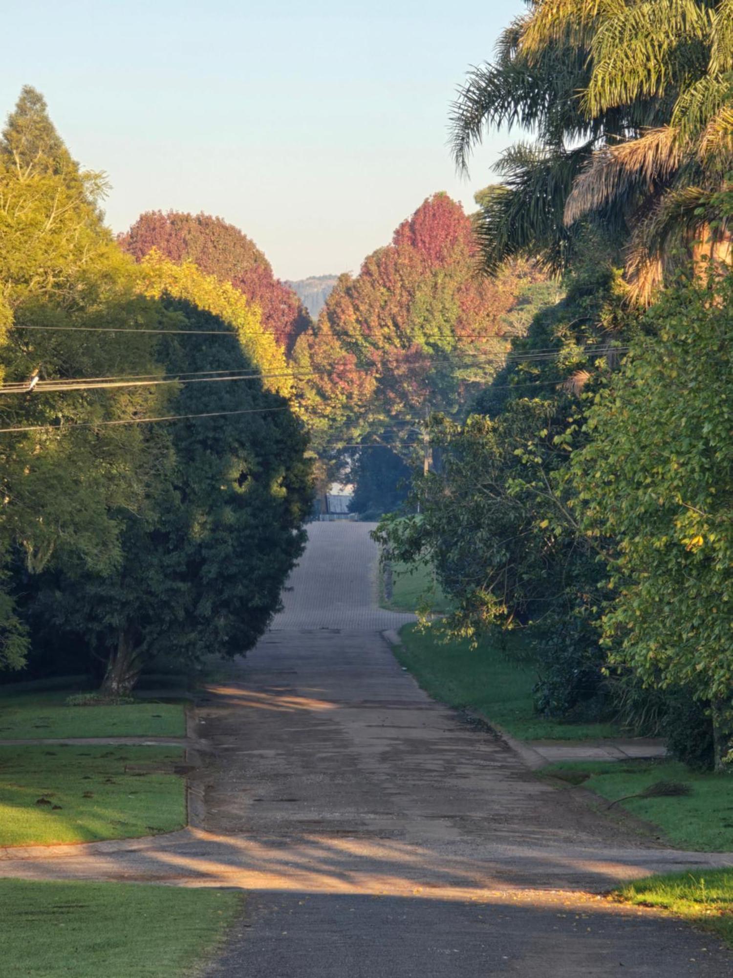 Mosswood Bed & Breakfast Graskop Exterior photo